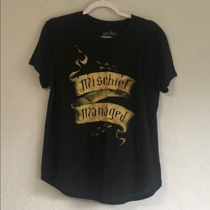 Harry Potter Wizard Basic Short Sleeve Tee Size 2X